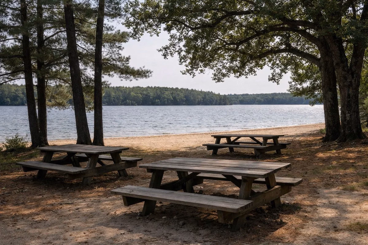 Picnic tables in the shade of trees behind a sandy lake beach