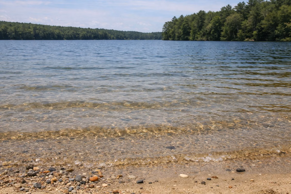 Clear shallow lake water over rippled sand at a beach edge