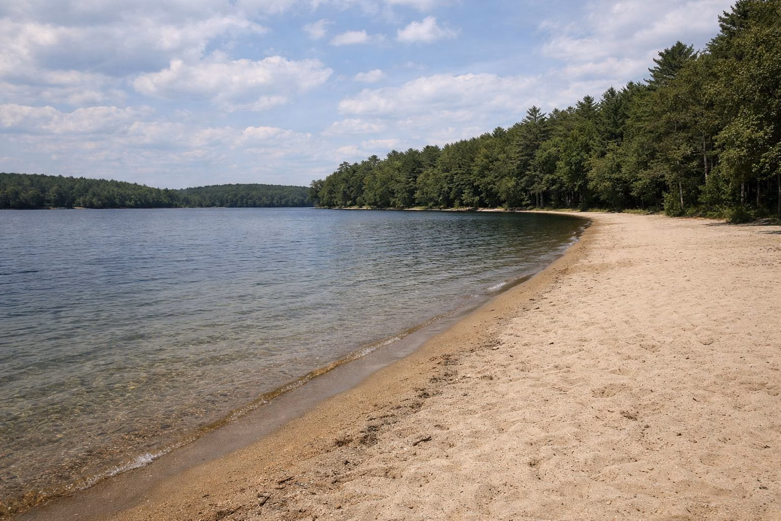 An empty sandy beach on a freshwater lake lined with pine woods in summer