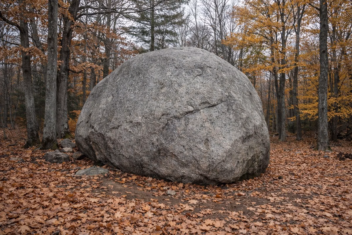 An enormous gray glacial boulder alone on the forest floor among oaks in fall