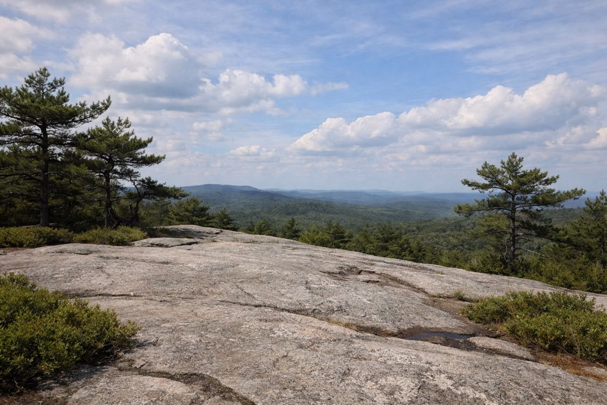 An open granite ledge with pitch pines on a low wooded summit