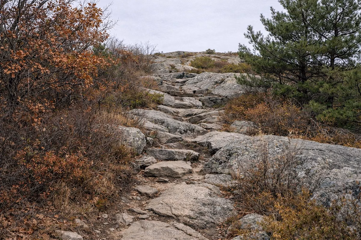 A steep rocky footpath climbing over granite ledges through oaks and pines