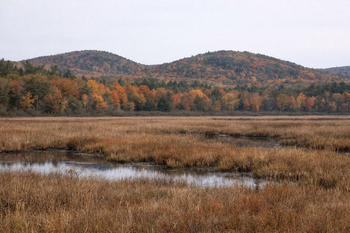 Low wooded hills in fall color seen across an open marsh