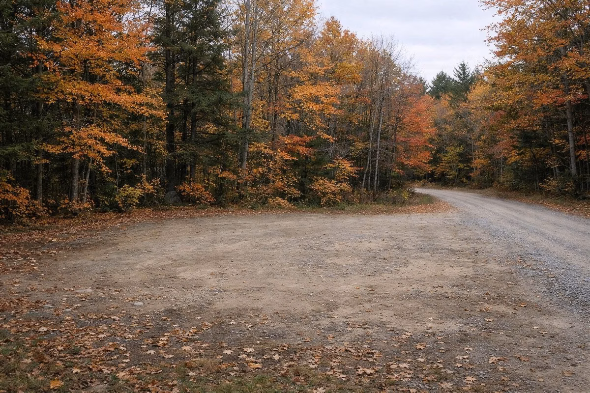 A dirt pull-off beside a gravel forest road in fall