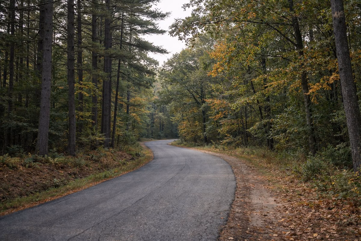 A narrow paved road curving through pine and oak woods