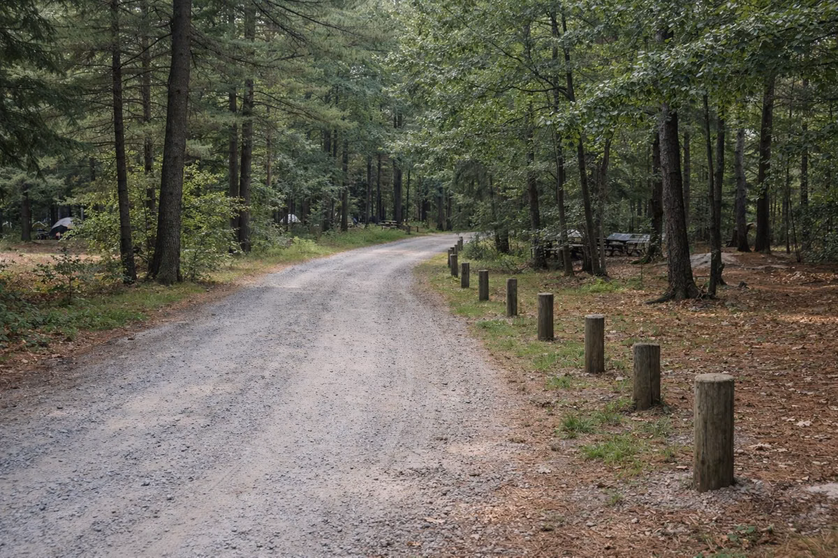 A quiet gravel campground road curving through pine and oak woods